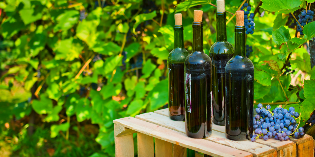 Homemade Wine Cleanliness is Godliness